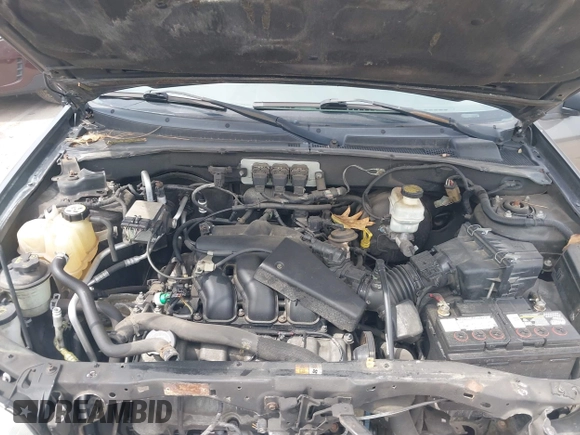 2005 Ford Escape XLT with VIN 1FMYU03115KB16214, listed as a IAAI auction lot 42113350 with 79,355 mi miles and . Bid and sale history available at DreamBid. Image 10.