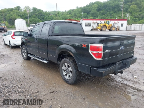 2013 Ford F-150 XL with VIN 1FTFX1EF7DFB34130, listed as a IAAI auction lot 42340765 with 266,185 mi miles and . Bid and sale history available at DreamBid. Image 3.