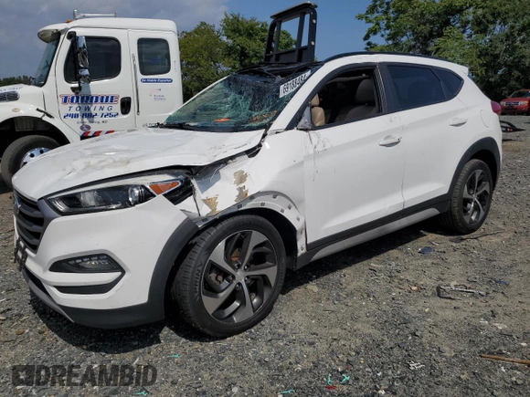 2017 Hyundai Tucson Value with VIN KM8J3CA25HU575174, listed as a Copart auction lot 69188484 with 112,187 mi miles and Salvage Title. Bid and sale history available at carsss.com. Image 1.