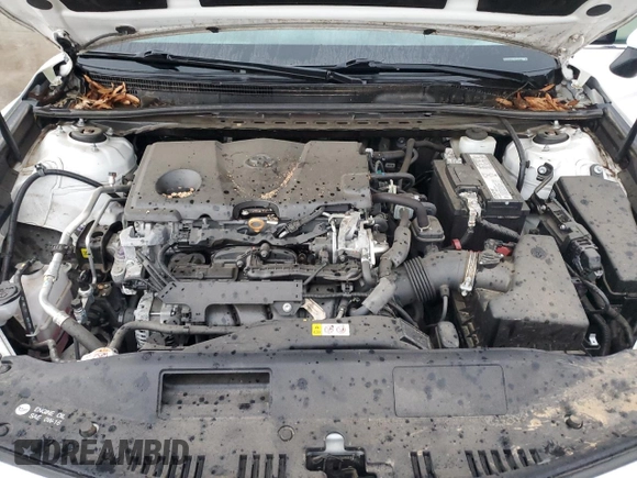 2019 Toyota Camry LE with VIN 4T1B11HK8KU855781, listed as a Copart auction lot 47667735 with 43,198 mi miles and Salvage Title. Bid and sale history available at carsss.com. Image 11.