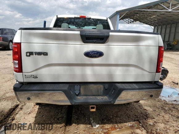 2017 Ford F-150 XL with VIN 1FTEX1CFXHFA67219, listed as a Copart auction lot 48943805 with 146,240 mi miles and Salvage Title. Bid and sale history available at carsss.com. Image 6.
