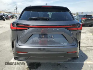 2024 Lexus NX with VIN JTJAGCEZXR2015144, listed as a Copart auction lot 48719455 with 2,637 mi miles and Salvage Title. Bid and sale history available at carsss.com. Image 6.