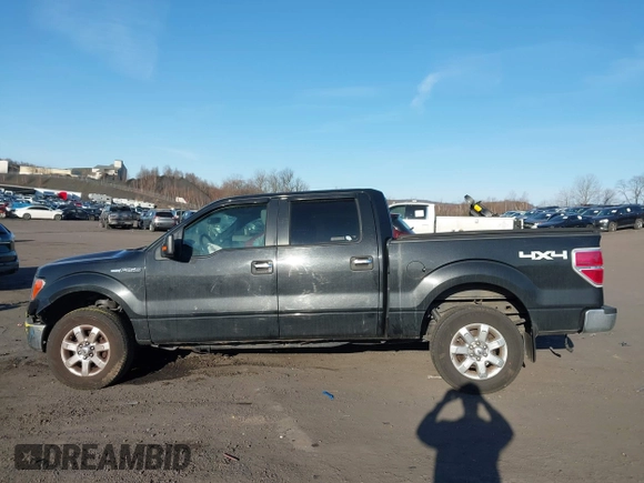 2013 Ford F-150 XL with VIN 1FTFW1EF1DFC93261, listed as a IAAI auction lot 41775876 with 49,767 mi miles. Bid and sale history available at carsss.com. Image 14.