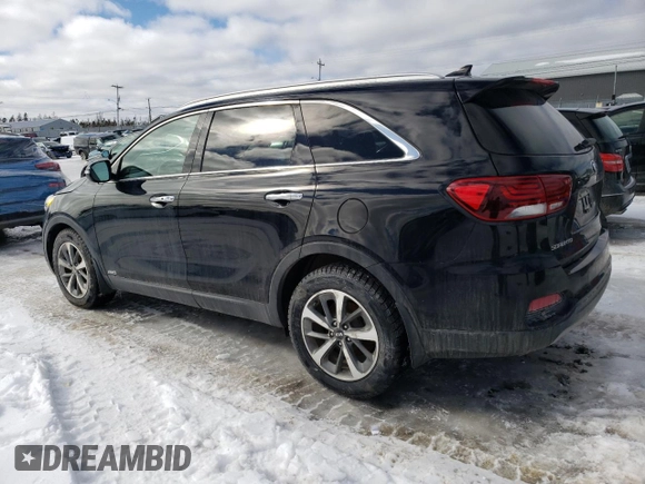 2019 Kia Sorento EX with VIN 5XYPHDA5XKG443455, listed as a Copart auction lot 45269015 with 94,513 mi miles and Salvage Title. Bid and sale history available at DreamBid. Image 2.