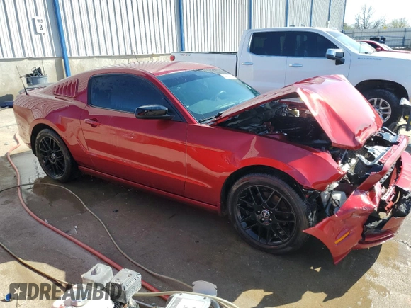 2014 Ford Mustang V6 z VIN 1ZVBP8AM5E5277478, wystawiony jako Copart lot #49688705 z przebiegiem 126 175 mil mil oraz Nie do naprawy • Non repairable. Historia ofert i sprzedaży dostępna na DreamBid. Obrazek 4.