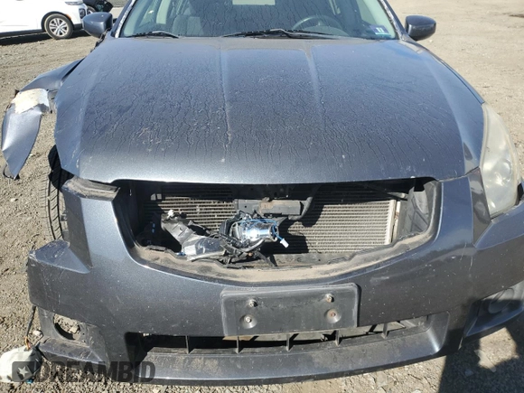 2008 Nissan Maxima 3.5 SE with VIN 1N4BA41E68C829338, listed as a Copart auction lot 76706714 with 0 mi miles and Salvage Title. Bid and sale history available at carsss.com. Image 11.