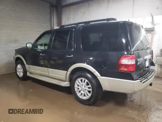 2010 Ford Expedition Eddie Bauer with VIN 1FMJU1J55AEB59198, listed as a Copart auction lot 52499065 with 130,865 mi miles and Salvage title. Bid and sale history available at DreamBid. Image 2.