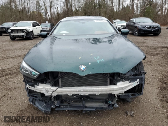 2022 BMW 8 Series with VIN WBAGX0C17NCH35238, listed as a Copart auction lot 81985204 with Not provided miles and Clean title. Bid and sale history available at DreamBid. Image 5.
