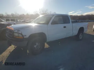 1999 Dodge Dakota SLT with VIN 1B7GG22X2XS112667, listed as a Copart auction lot 81328274 with Not Provided miles and Non Repairable. Bid and sale history available at carsss.com. Image 1.