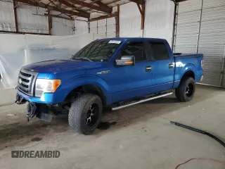 2012 Ford F-150 XL with VIN 1FTFW1EF4CFB78037, listed as a Copart auction lot 52012325 with 246,863 mi miles and Clean Title. Bid and sale history available at carsss.com. Image 1.