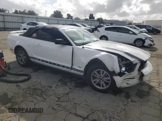 2005 Ford Mustang Deluxe with VIN 1ZVFT84N455250273, listed as a Copart auction lot 50923095 with Not Provided miles and Salvage Title. Bid and sale history available at carsss.com. Image 4.