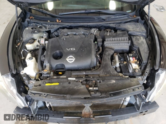 2010 Nissan Maxima SV with VIN 1N4AA5AP1AC823245, listed as a Copart auction lot 63808285 with 199,173 mi miles and Salvage title. Bid and sale history available at DreamBid. Image 11.