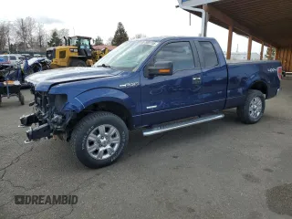 2012 Ford F-150 XL with VIN 1FTFX1ET6CFC59401, listed as a Copart auction lot 49691155 with 148,636 mi miles and Salvage Title. Bid and sale history available at carsss.com. Image 1.