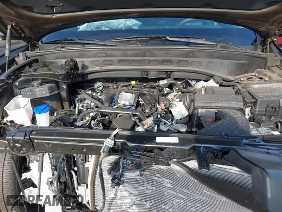 2024 Kia Telluride EX with VIN 5XYP34GC3RG521217, listed as a IAAI auction lot 41349510 with 3,798 mi miles and . Bid and sale history available at DreamBid. Image 10.