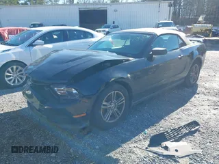 2011 Ford Mustang V6 with VIN 1ZVBP8EM7B5129385, listed as a IAAI auction lot 41208300 with 56,429 mi miles and . Bid and sale history available at DreamBid. Image 17.