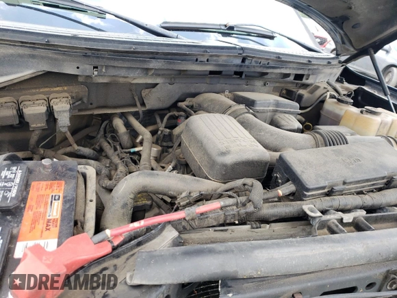 2010 Ford F-150 XL with VIN 1FTFW1EV3AFA38193, listed as a Copart auction lot 59061254 with 100,553 mi miles and Salvage Title. Bid and sale history available at carsss.com. Image 11.