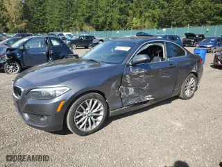 2014 BMW 2 Series 228i with VIN WBA1F5C55EV246282, listed as a Copart auction lot 53211745 with 87,106 mi miles and Salvage Title. Bid and sale history available at carsss.com. Image 1.
