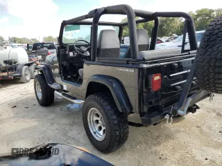 1995 Jeep Wrangler with VIN 1J4FY29SXSP230216, listed as a Copart auction lot 77257834 with 144,217 mi miles and Salvage Title. Bid and sale history available at carsss.com. Image 2.