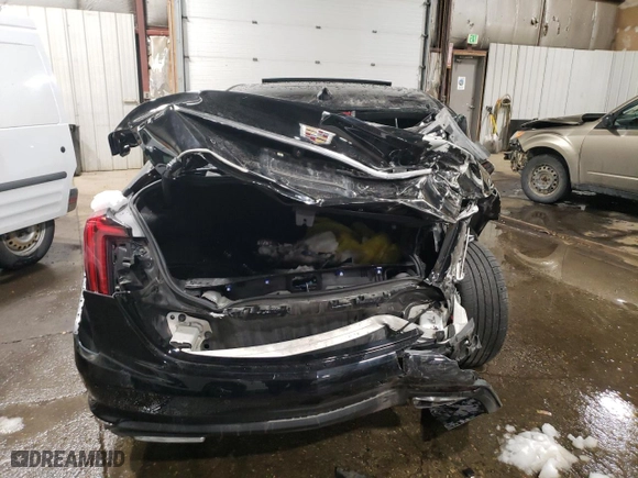 2023 Cadillac CT5 Premium Luxury with VIN 1G6DS5RW5P0109390, listed as a Copart auction lot 79119284 with 0 mi miles and Non Repairable. Bid and sale history available at carsss.com. Image 6.