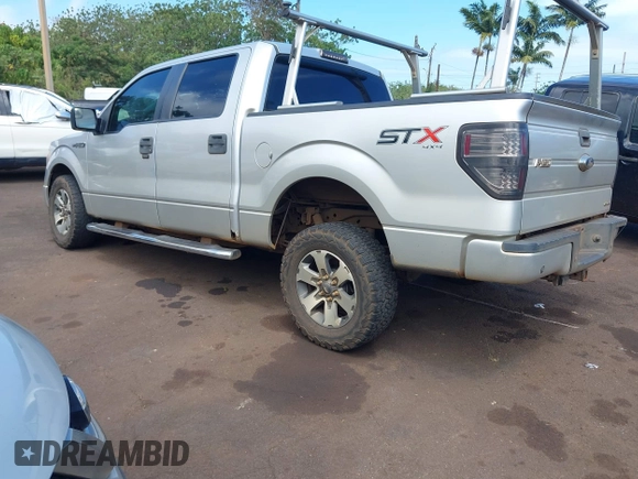 2014 Ford F-150 XL with VIN 1FTFW1EF3EFC96017, listed as a IAAI auction lot 41828150 with 113,599 mi miles. Bid and sale history available at carsss.com. Image 3.