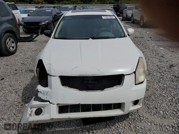 2008 Nissan Maxima 3.5 SE with VIN 1N4BA41E68C801703, listed as a Copart auction lot 71261864 with 256,018 mi miles and Salvage Title. Bid and sale history available at carsss.com. Image 5.