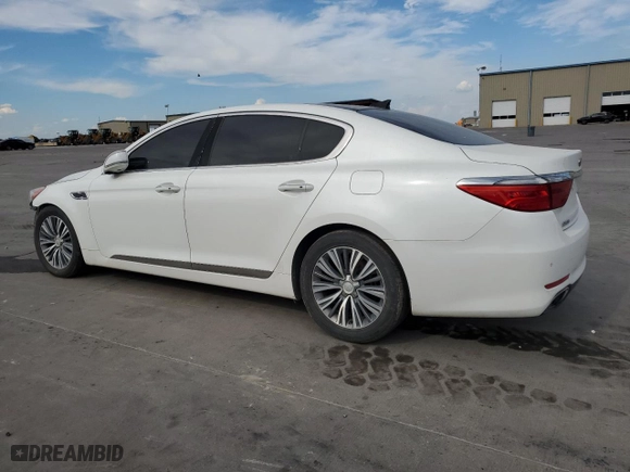 2016 Kia K900 Luxury with VIN KNALU4D3XG6032701, listed as a Copart auction lot 69019244 with 120,193 mi miles and Salvage Title. Bid and sale history available at carsss.com. Image 2.