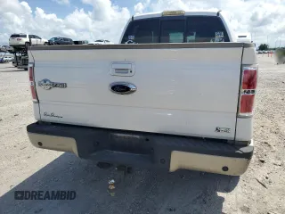 2010 Ford F-150 XL with VIN 1FTFW1EV5AKB58746, listed as a Copart auction lot 60144085 with Not provided miles and Salvage title. Bid and sale history available at DreamBid. Image 6.
