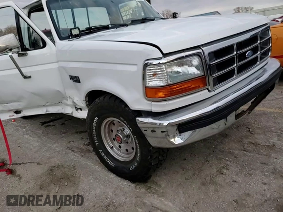 1994 Ford F-150 with VIN 1FTDF15Y9RNB41007, listed as a Copart auction lot 81486394 with 0 mi miles and Salvage Title. Bid and sale history available at carsss.com. Image 11.