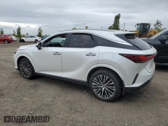 2023 Lexus RX with VIN 2T2BAMCA6PC029080, listed as a Copart auction lot 72990054 with 23,804 mi miles and Clean Title. Bid and sale history available at carsss.com. Image 2.