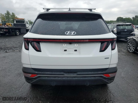 2023 Hyundai Tucson SEL with VIN 5NMJBCAEXPH237714, listed as a Copart auction lot 66203154 with 11,059 mi miles and Salvage Title. Bid and sale history available at carsss.com. Image 6.