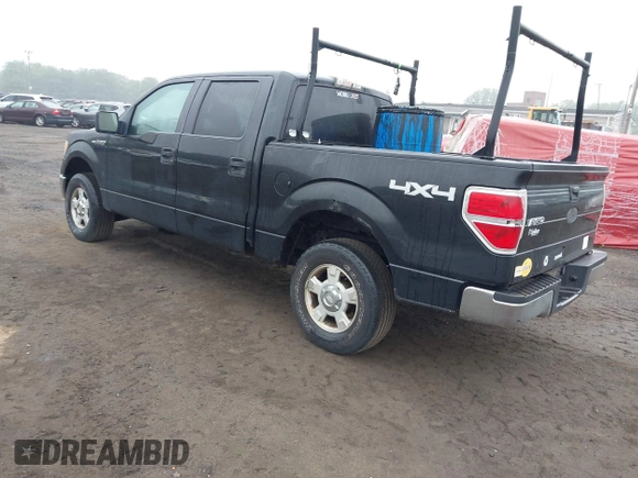 2010 Ford F-150 XL with VIN 1FTEW1E84AFA54957, listed as a IAAI auction lot 42456388 with 197,370 mi miles and . Bid and sale history available at DreamBid. Image 3.