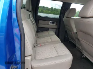 2010 Ford F-150 XL with VIN 1FTFW1EV8AFA11457, listed as a Copart auction lot 60961435 with 159,767 mi miles and Salvage title. Bid and sale history available at DreamBid. Image 10.