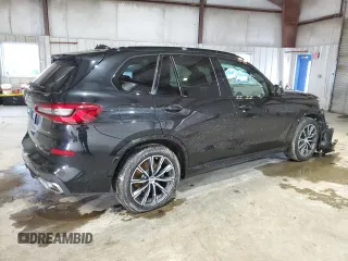 2019 BMW X5 xDrive40i with VIN 5UXCR6C5XKLL06748, listed as a Copart auction lot 45987365 with Not Provided miles and Salvage Title. Bid and sale history available at carsss.com. Image 3.