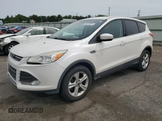 2014 Ford Escape SE z VIN 1FMCU9G90EUA73374, wystawiony jako Copart lot #58618015 z przebiegiem 131 956 mil mil oraz Szkoda całkowita • Salvage title. Historia ofert i sprzedaży dostępna na DreamBid. Obrazek 1.