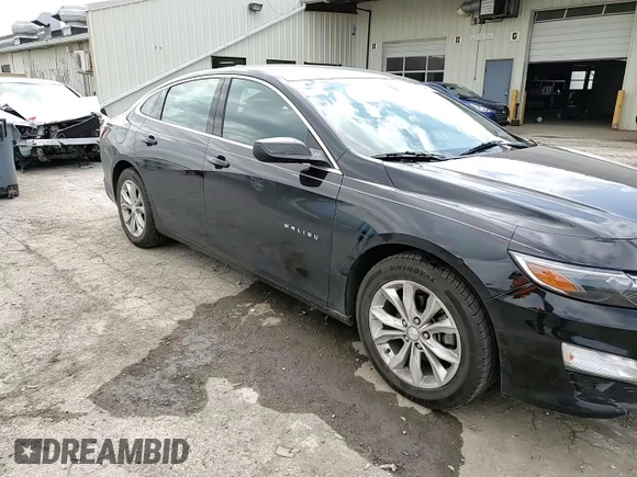2019 Chevrolet Malibu LT with VIN 1G1ZD5ST3KF176713, listed as a Copart auction lot 49924955 with 83,412 mi miles and Salvage Title. Bid and sale history available at DreamBid. Image 11.