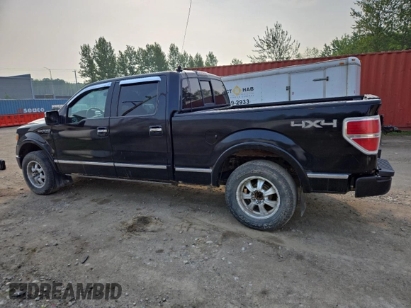 2009 Ford F-150 XL with VIN 1FTPW14V29FB29022, listed as a Copart auction lot 59518745 with 225,701 mi miles and Salvage title. Bid and sale history available at DreamBid. Image 2.