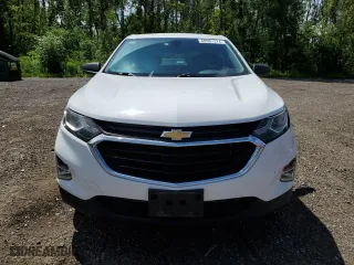 2019 Chevrolet Equinox LS with VIN 2GNAXSEV0K6121192, listed as a Copart auction lot 60967374 with 125,337 mi miles and Salvage Title. Bid and sale history available at carsss.com. Image 5.