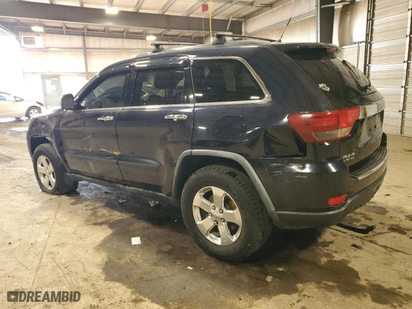 2011 Jeep Grand Cherokee Limited with VIN 1J4RR5GG3BC528804, listed as a Copart auction lot 48306075 with 0 mi miles and Salvage Title. Bid and sale history available at carsss.com. Image 2.