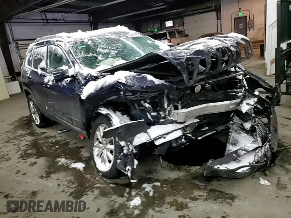 2014 Jeep Cherokee Limited with VIN 1C4PJMDB7EW202563, listed as a Copart auction lot 44465125 with 185,245 mi miles and Non repairable. Bid and sale history available at DreamBid. Image 11.