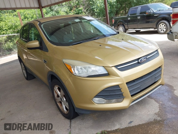 2014 Ford Escape SE with VIN 1FMCU9GX2EUC04173, listed as a IAAI auction lot 42745018 with Not provided miles and . Bid and sale history available at DreamBid. Image 1.