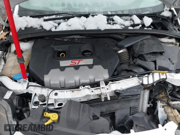 2014 Ford Focus ST with VIN 1FADP3L94EL256548, listed as a IAAI auction lot 40936756 with 79,340 mi miles and . Bid and sale history available at carsss.com. Image 10.