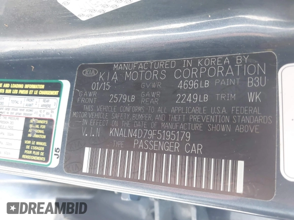 2015 Kia Cadenza Premium with VIN KNALN4D79F5195179, listed as a IAAI auction lot 41497523 with 258,695 mi miles. Bid and sale history available at carsss.com. Image 9.