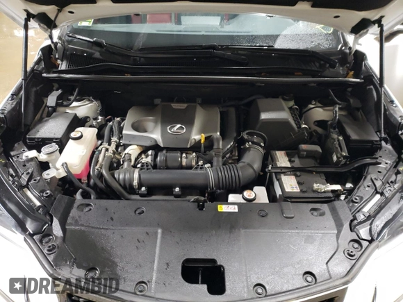 2021 Lexus NX 300 F Sport with VIN JTJSARDZ4M2263070, listed as a Copart auction lot 87491694 with 23,127 mi miles and Salvage title. Bid and sale history available at DreamBid. Image 11.