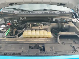 2020 Ford F-150 XL с VIN 1FTEW1EP2LFB43338, выставлен на аукционе IAAI как лот 42836647 с пробегом 117 196 миль миль и . История ставок и продаж доступна на DreamBid. Изображение 19.