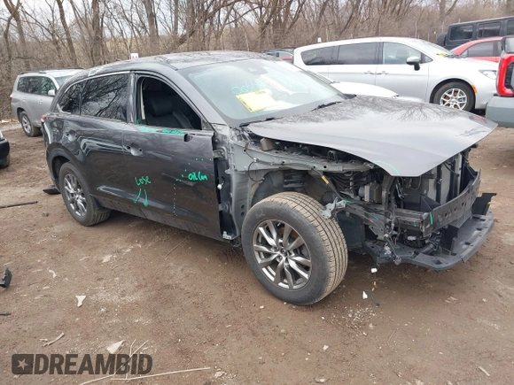 2018 Mazda CX-9 Touring with VIN JM3TCBCY3J0212479, listed as a IAAI auction lot 41737024 with 128,552 mi miles and . Bid and sale history available at DreamBid. Image 1.