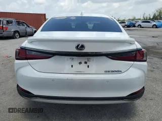 2022 Lexus ES 300h F Sport with VIN 58AGA1C15NU024210, listed as a Copart auction lot 60349895 with 134,663 mi miles and Salvage title. Bid and sale history available at DreamBid. Image 6.