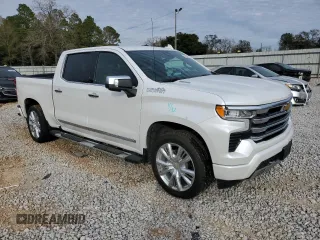 2024 Chevrolet Silverado 1500 High Country with VIN 1GCUDJE81RZ357299, listed as a Copart auction lot 41667695 with 8,193 mi miles and Salvage Title. Bid and sale history available at DreamBid. Image 4.
