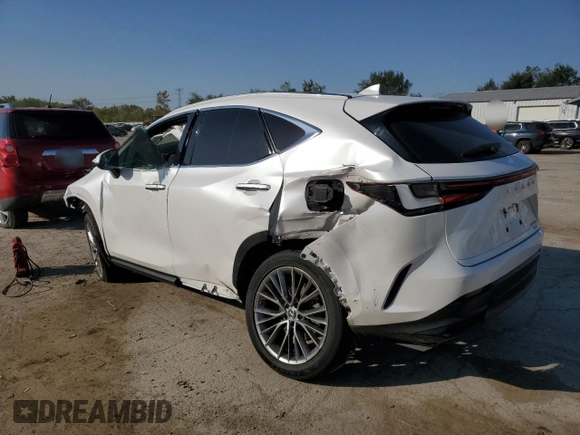 2022 Lexus NX 350 Premium with VIN 2T2GGCEZXNC002298, listed as a Copart auction lot 73543794 with Not provided miles and Salvage title. Bid and sale history available at DreamBid. Image 2.