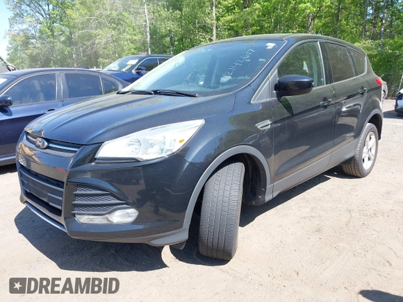 2014 Ford Escape SE with VIN 1FMCU0GX2EUB40356, listed as a IAAI auction lot 42142617 with 156,703 mi miles. Bid and sale history available at carsss.com. Image 2.