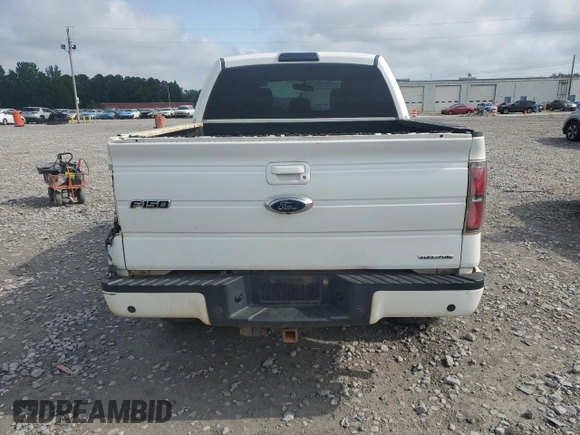 2013 Ford F-150 XL with VIN 1FTFW1EF3DKD19320, listed as a Copart auction lot 57107975 with 258,279 mi miles and Salvage title. Bid and sale history available at DreamBid. Image 6.